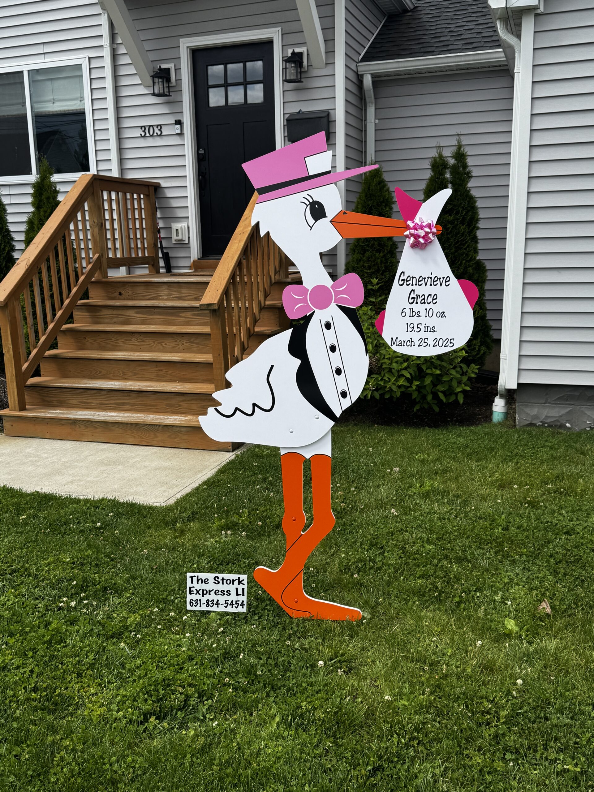 Another precious baby joins The Stork Express LI family
