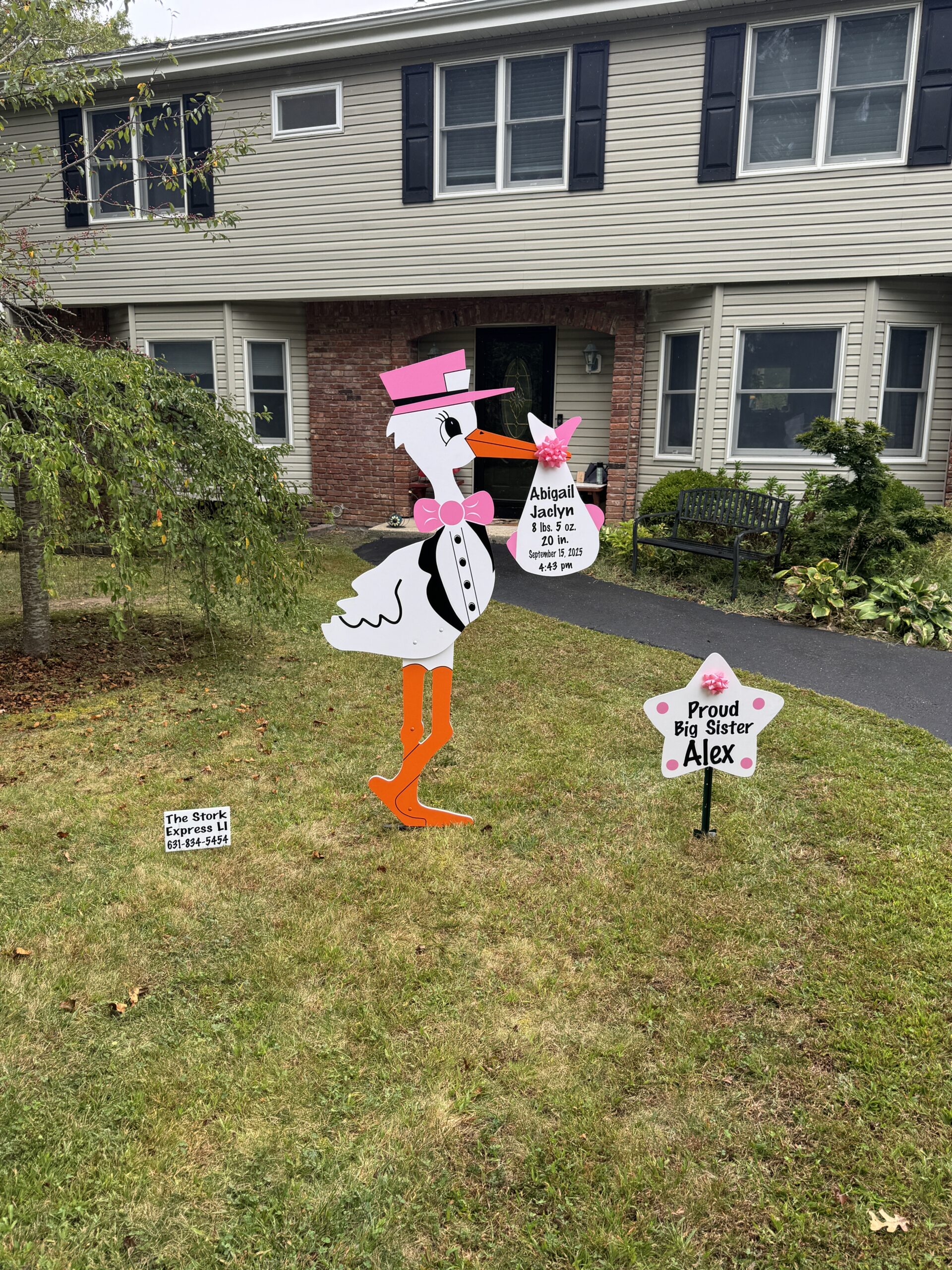 The bundles and storks The Stork Express LI continues to deliver are ...
